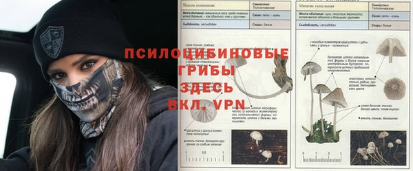 дживик Верхнеуральск